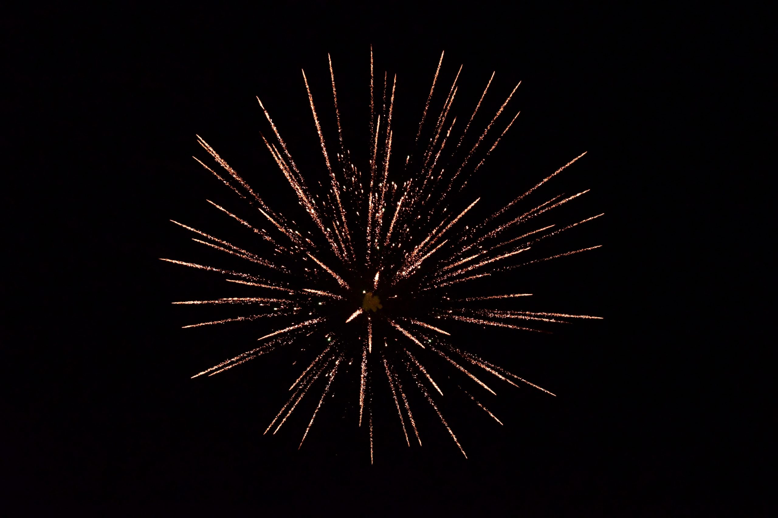 A single firework explodes in the night sky, like the meticulous brilliance of estate planning, showcasing bright, golden sparks radiating outward against a dark background.