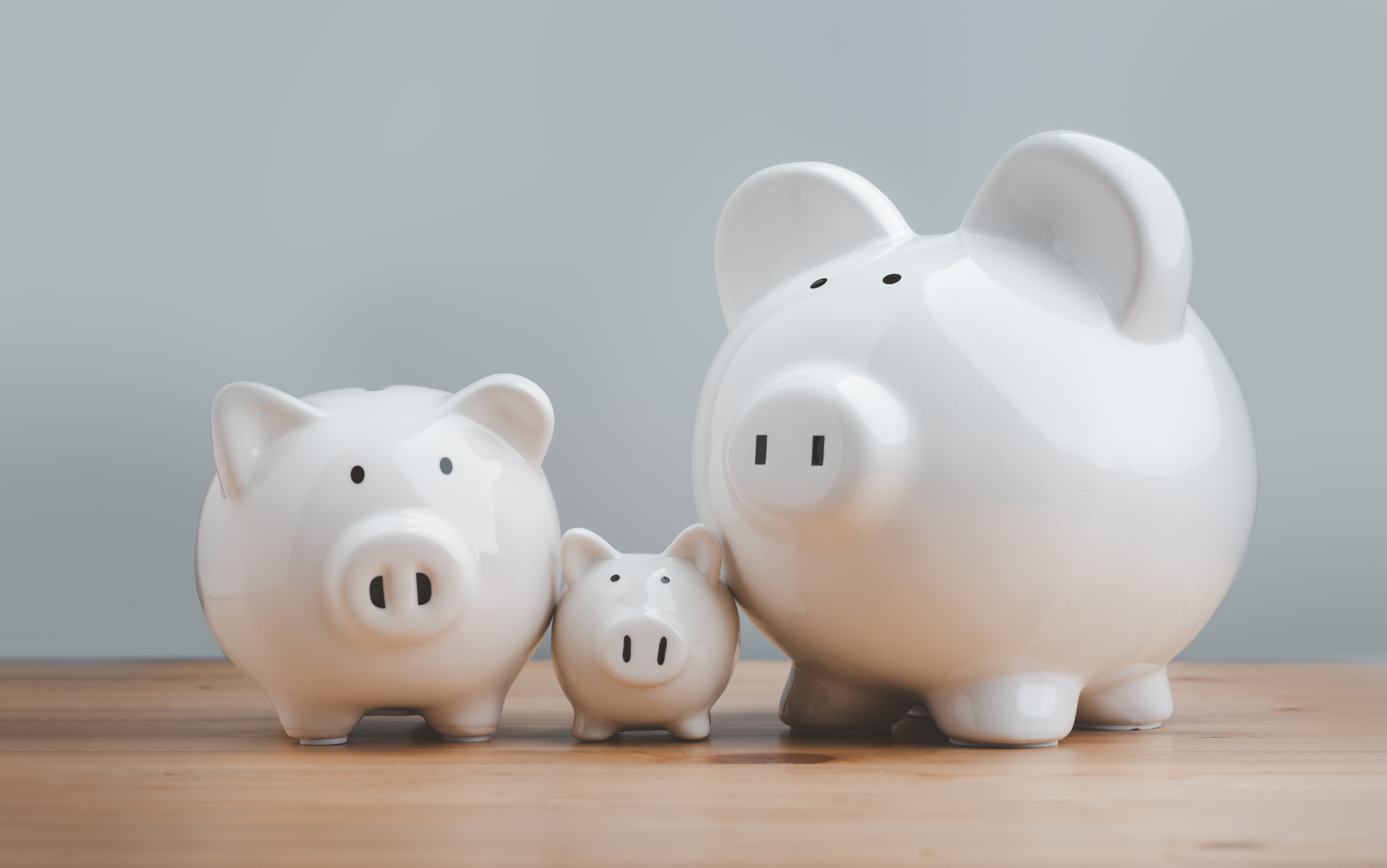Three white ceramic piggy banks of varying sizes stand on a wooden surface against a plain gray background. The piggy banks, resembling a family of pigs, suggest the careful planning of a spendthrift trust to secure and manage future savings.