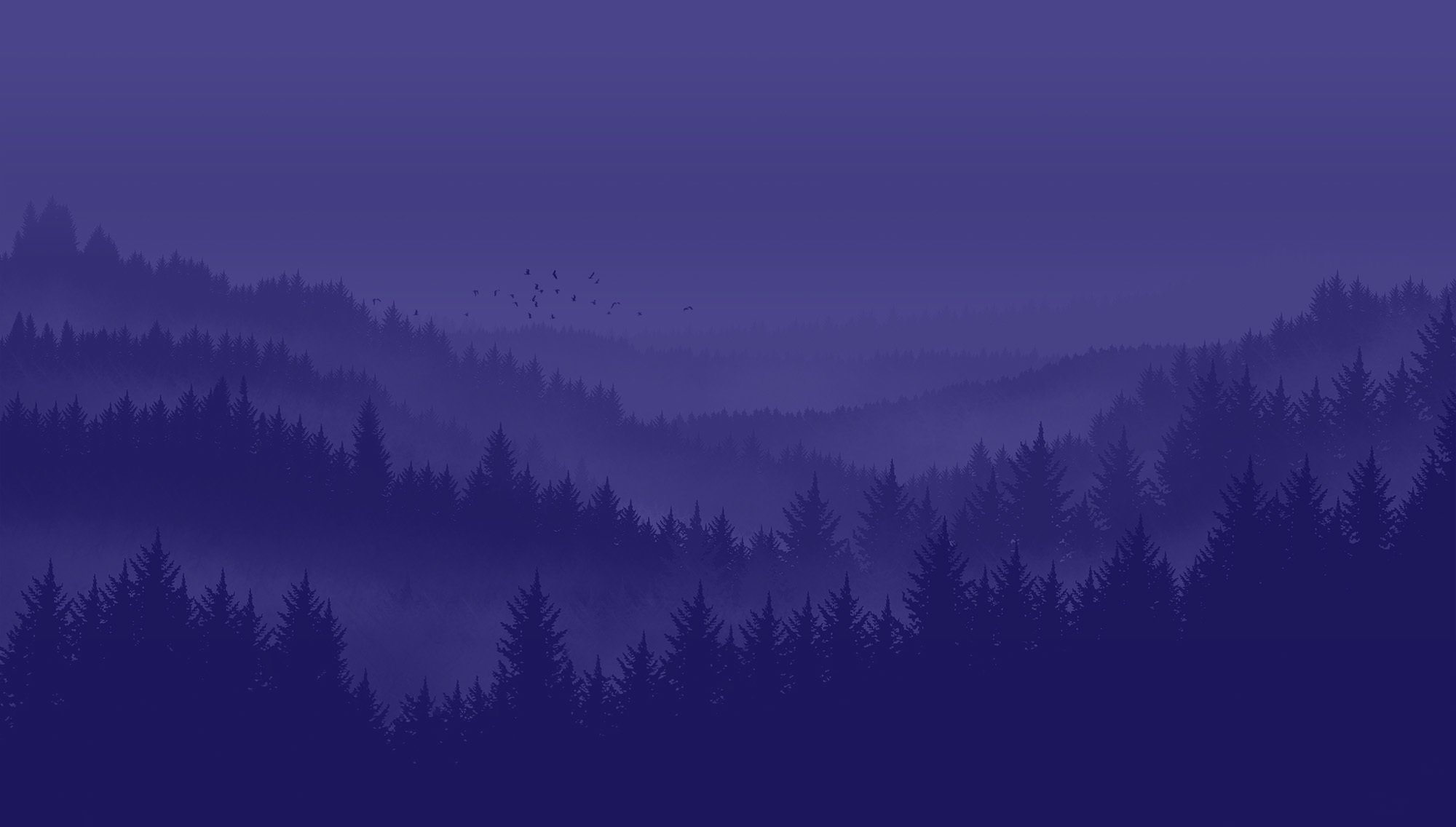 pine forest background
